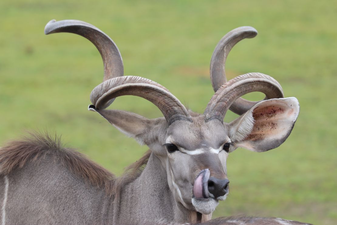 Chov v roce 2025: Zoo Plzeň