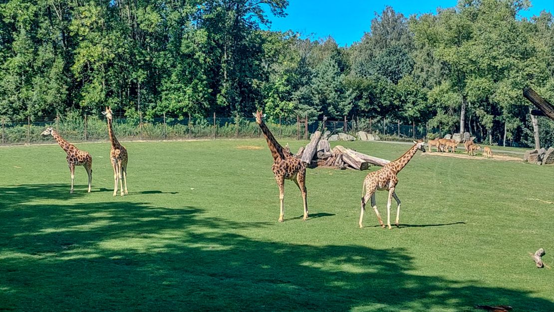 Akce "Kulový blesk" úspěšně ukončena