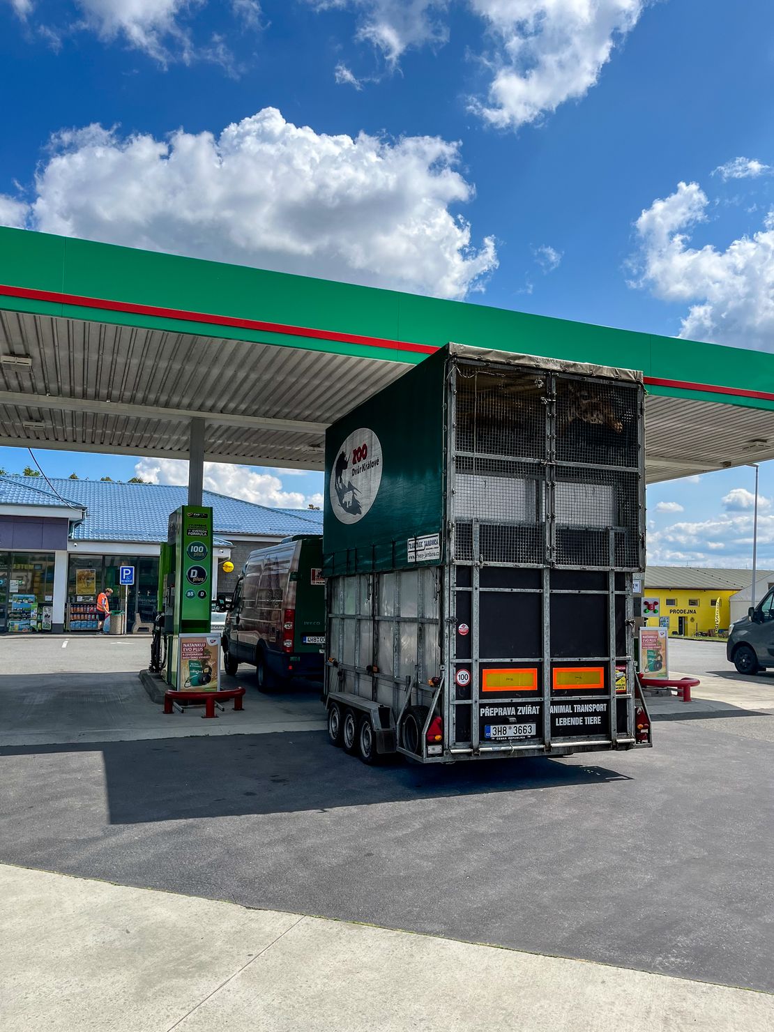 Chov v roce 2025: Zoo Liberec